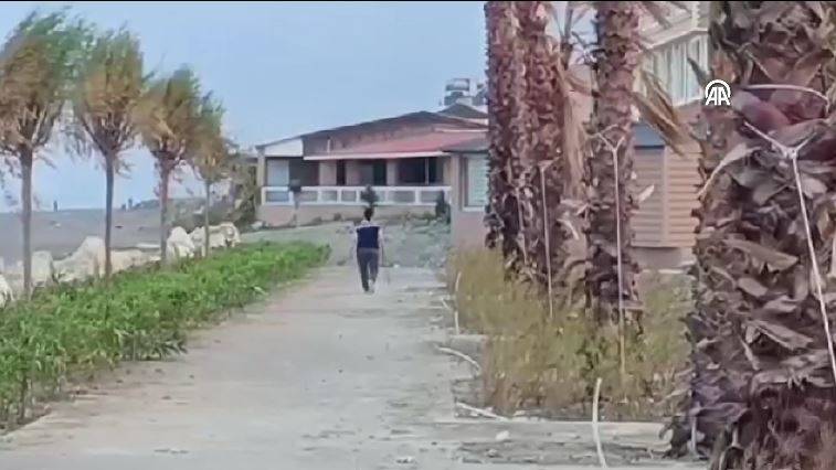 Bu tehlikeye kim dur diyecek! Sokak köpekleri sahilde yürüyen kadına saldırdı 5